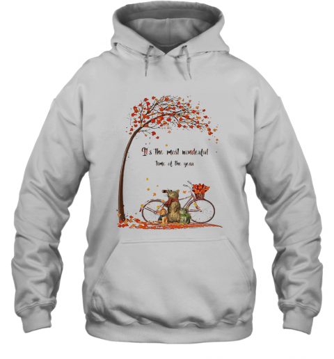 Family Cats It'S The Most Wonderful Time Of The Year T-Shirt Unisex Hoodie