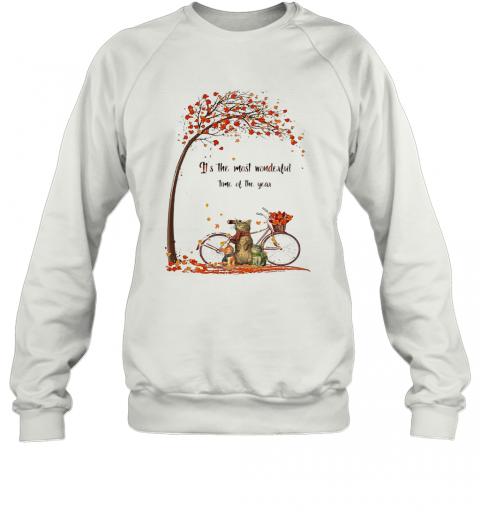 Family Cats It'S The Most Wonderful Time Of The Year T-Shirt Unisex Sweatshirt