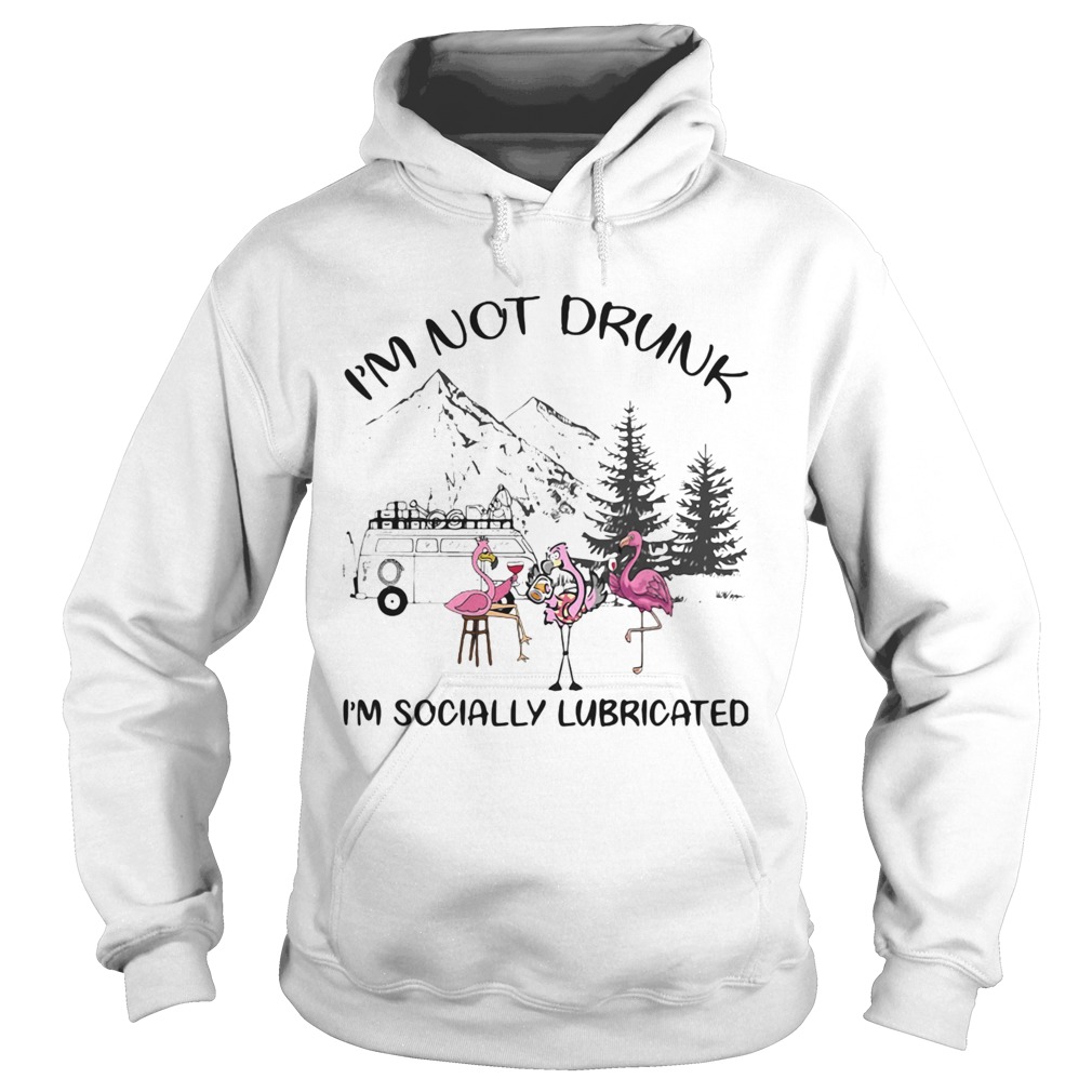 Flamingo camping Im not drunk Im socially lubricated Hoodie