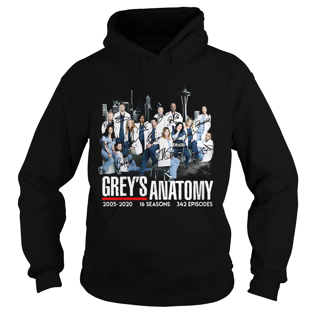 Greys Anatomy 2005 16 seasons 342 episodes signatures Hoodie