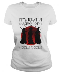 Halloween witch Its just a bunch of hocus pocus  Classic Ladies