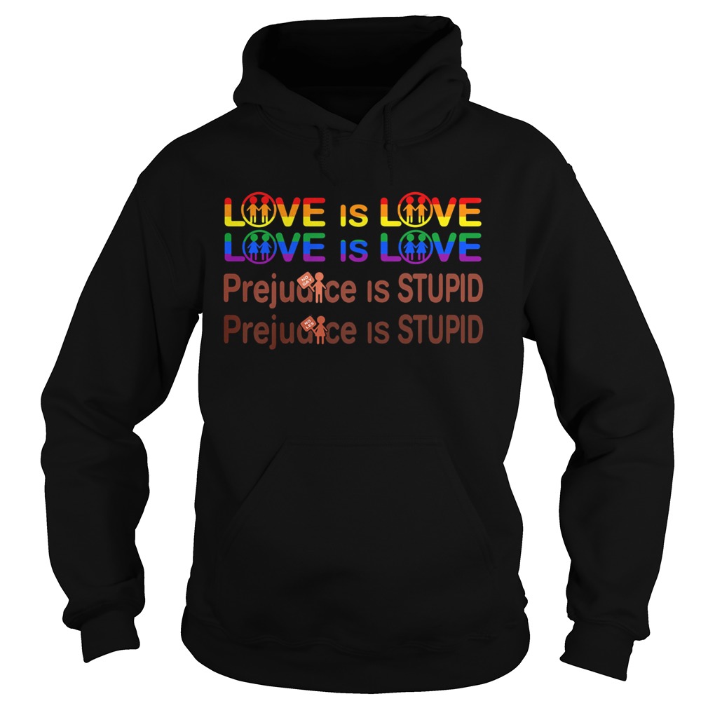LGBT love is love prejudice is stupid Hoodie