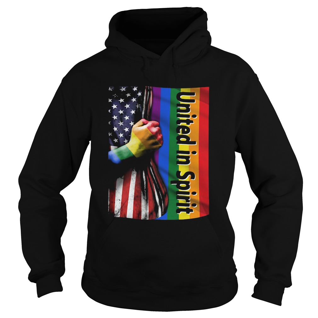 LGBT united in spirit flag USA Hoodie