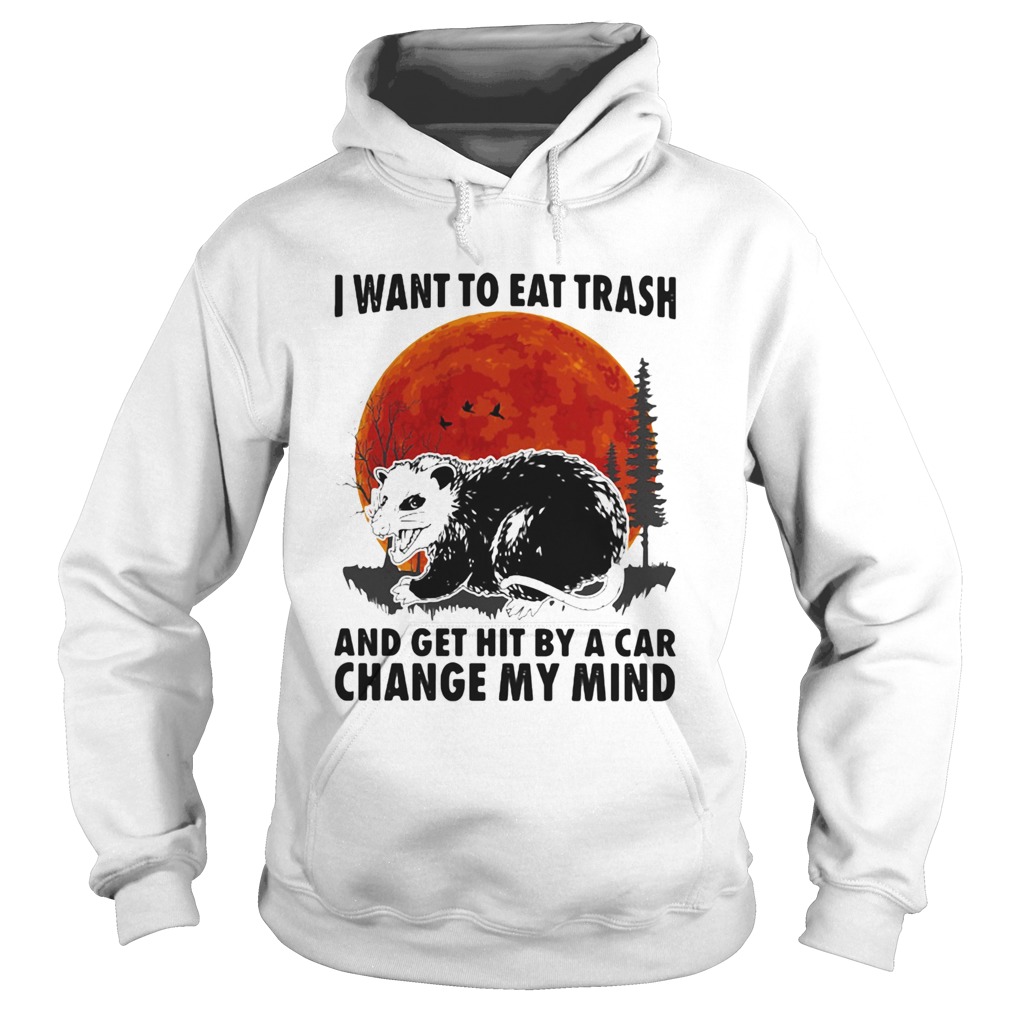 Moon blood I want to eat trash and get hit by a car change my mind Hoodie