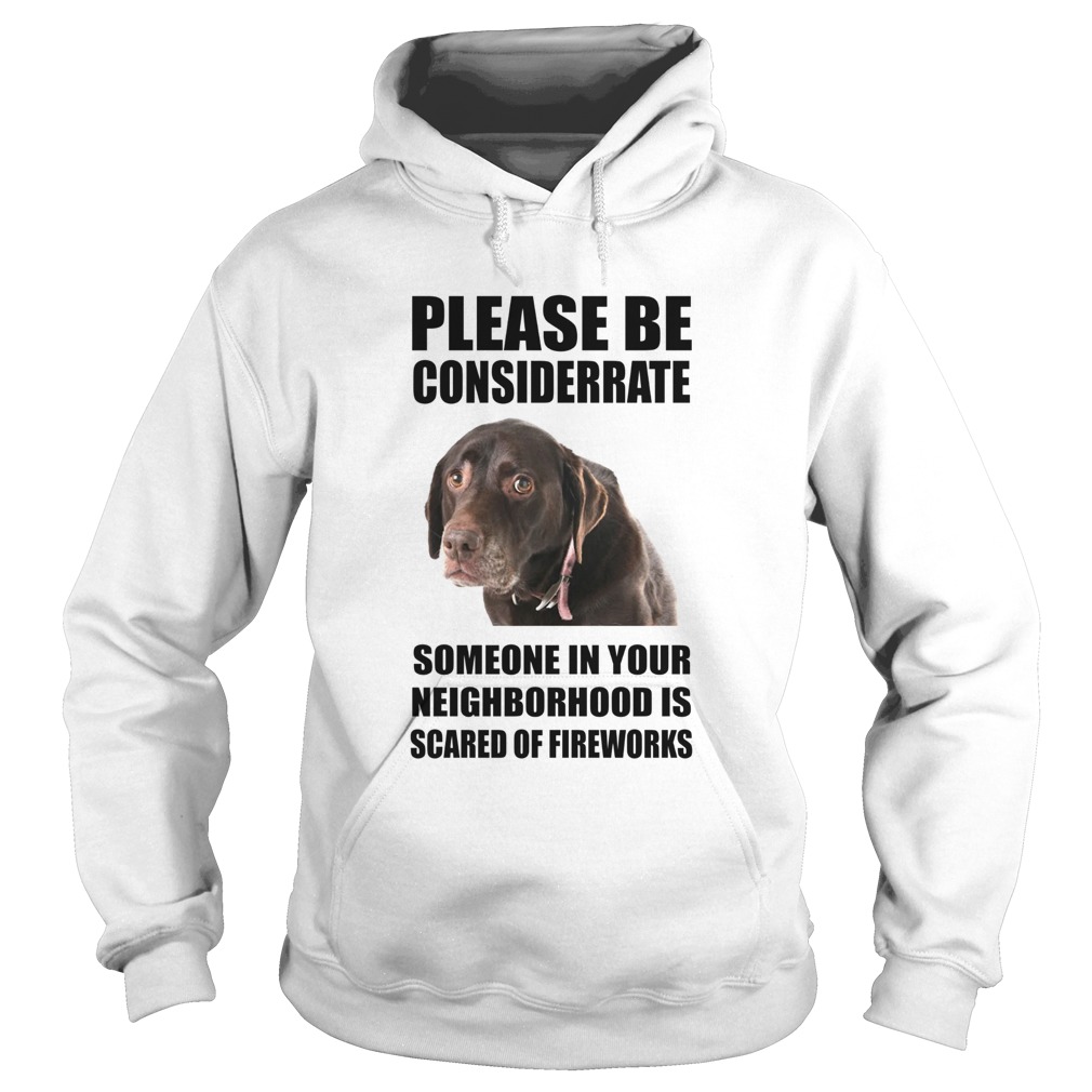 Please Be Considerate Someone In Your Neighborhood Is Scared Of Fireworks Hoodie