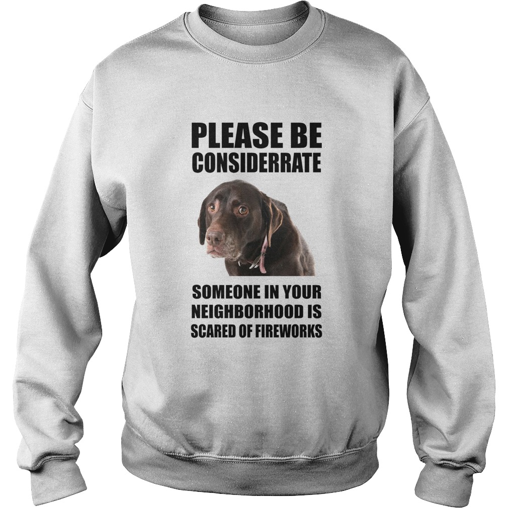 Please Be Considerate Someone In Your Neighborhood Is Scared Of Fireworks Sweatshirt