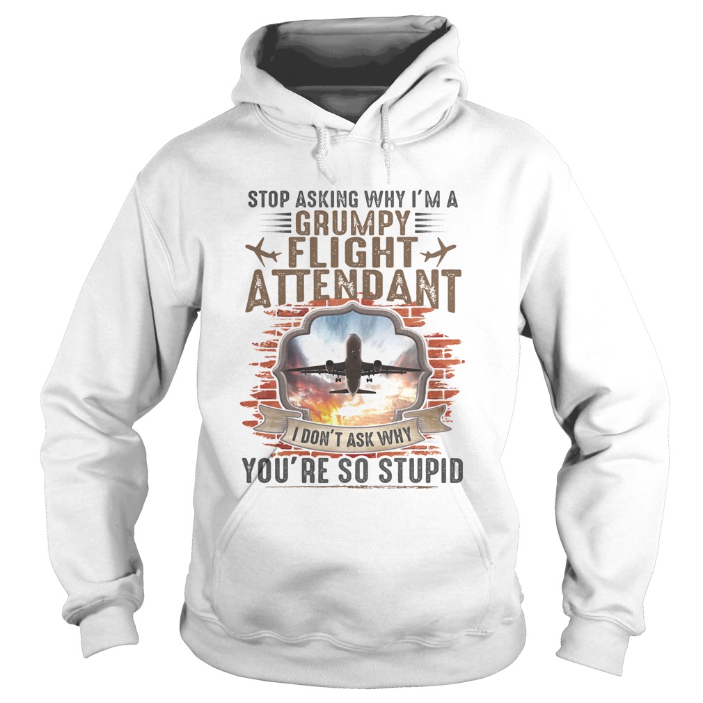 Stop Asking Why Im A Grumpy Flight Attendant Youre So Stupid I Dont Ask Why Hoodie