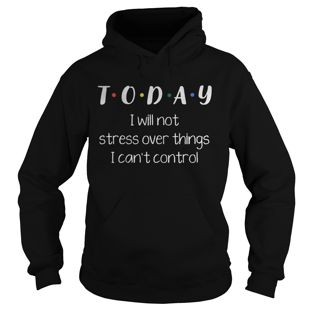 Today i will not stress over things i cant control 2020 Hoodie