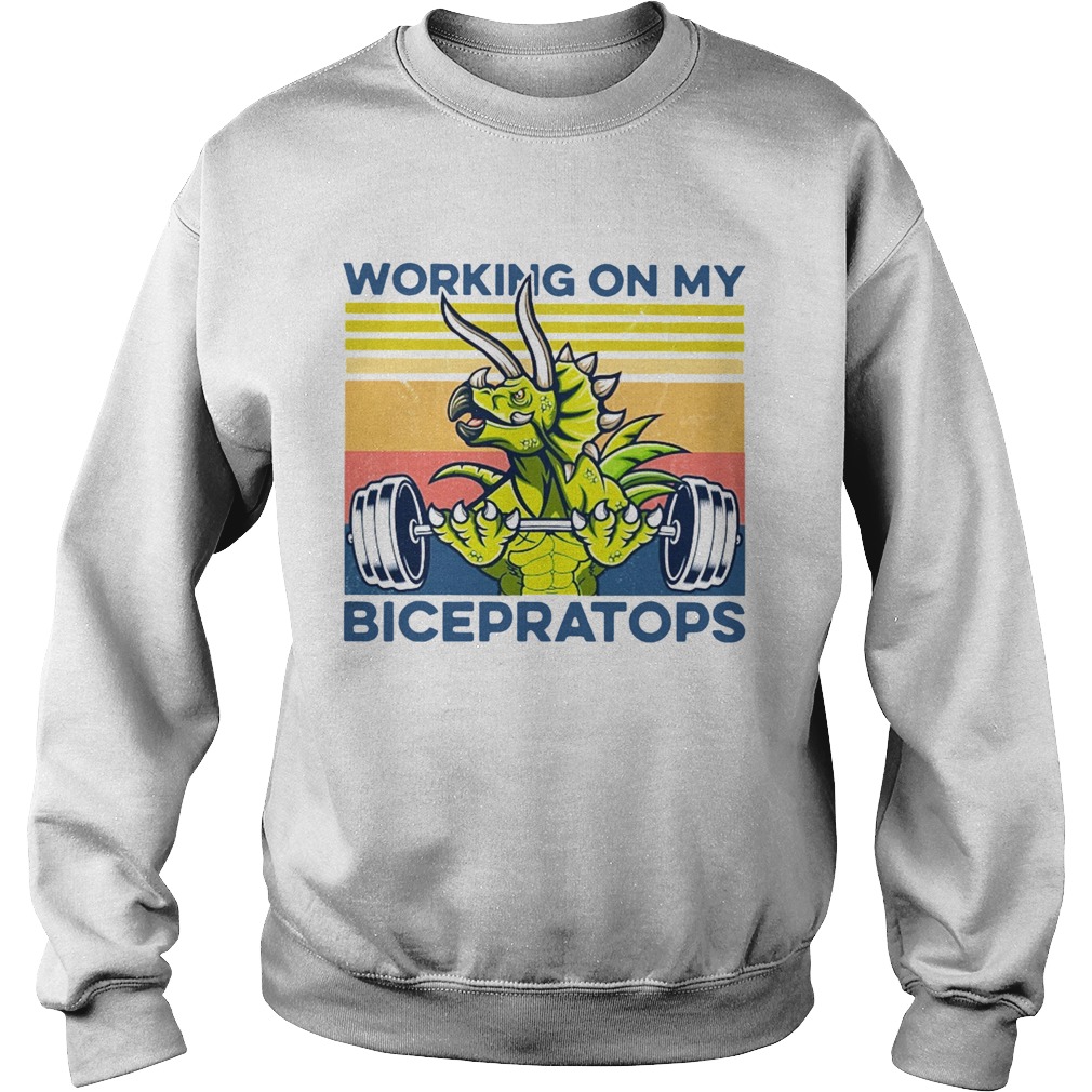 Working On My Bicepratops Vintage Sweatshirt