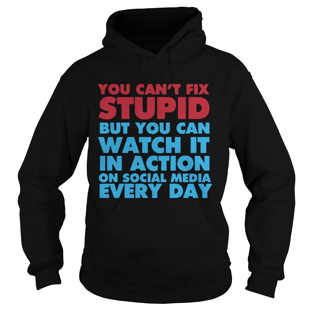 You Cant Fix Stupid Hoodie