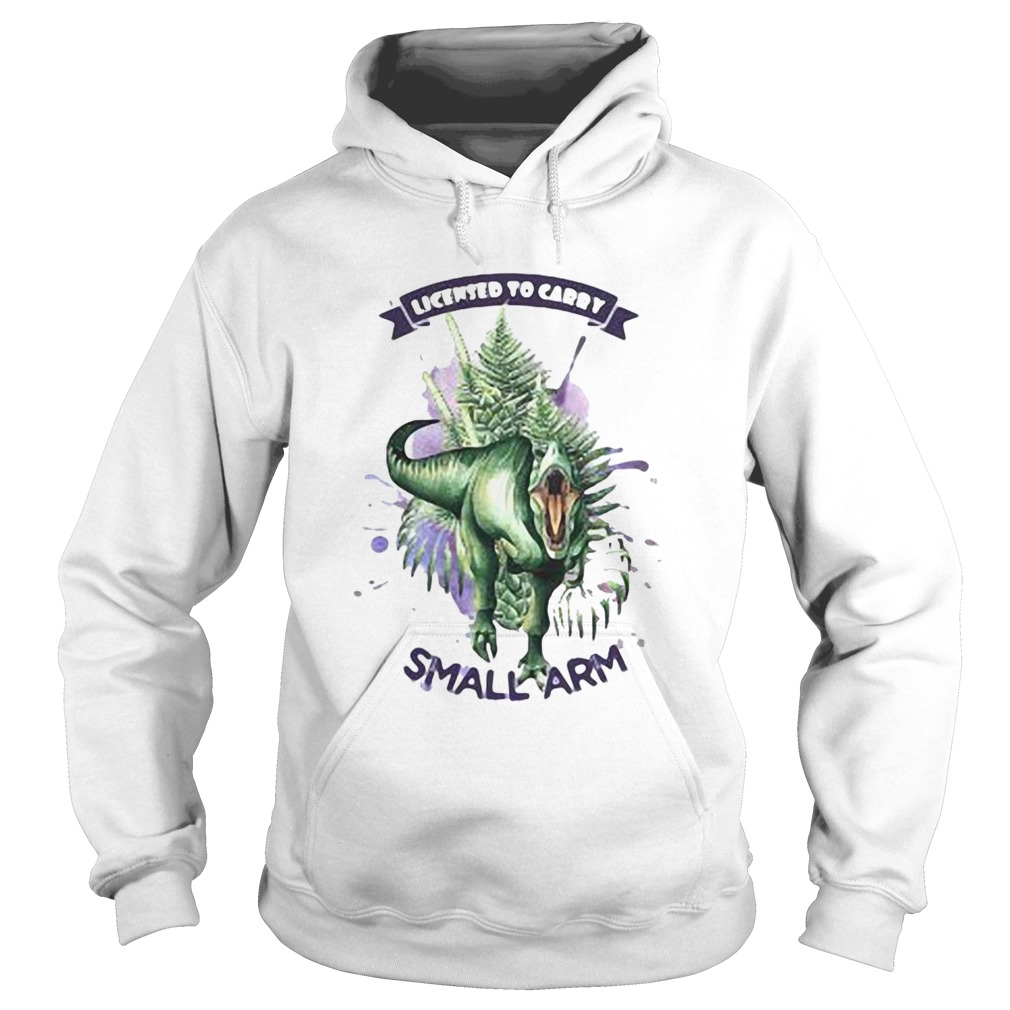 1597720656Dinosaur Licensed To Carry Small Arm Hoodie