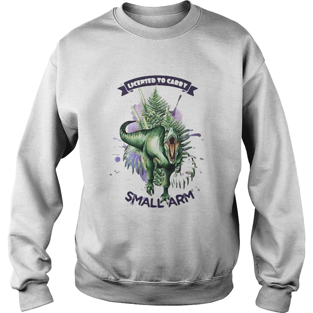 1597720656Dinosaur Licensed To Carry Small Arm Sweatshirt