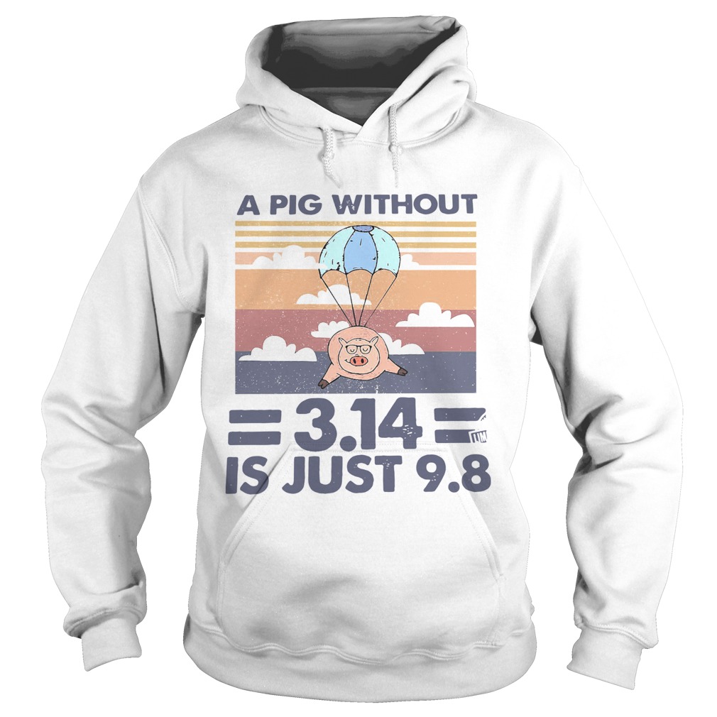 A Pig Without 314 Is Just 98 Vintage Hoodie