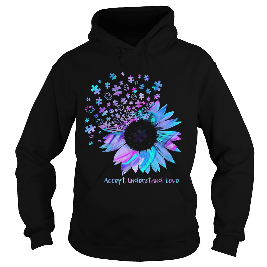 Austim Accept Understand Love Hoodie