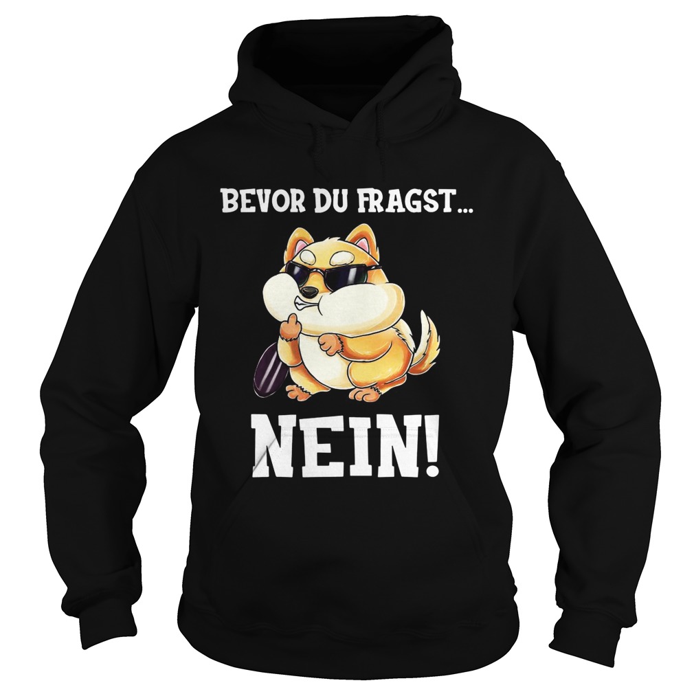 Bevor Du Fragst Nein Hamster Hoodie