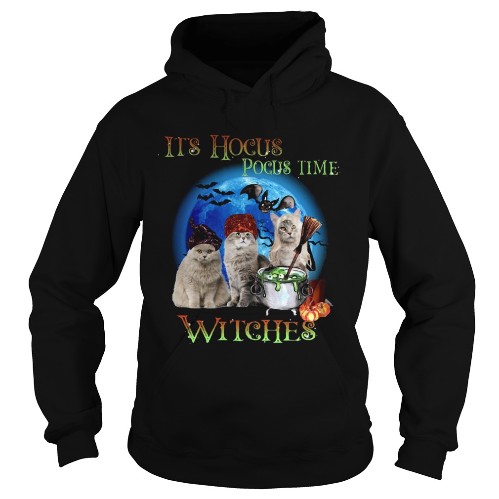 CATS HALLOWEEN ITS HOCUS POCUS TIME WITCHES Hoodie