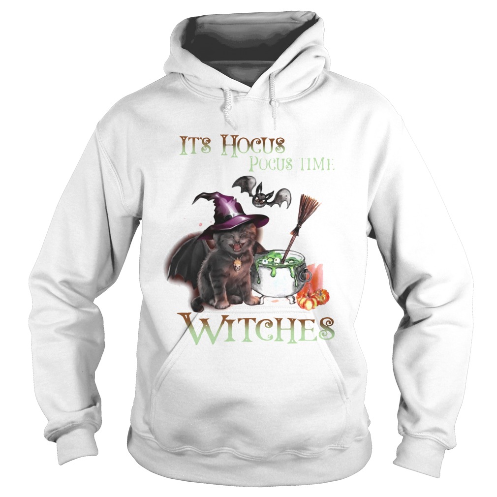 Cat Its Hocus Pocus Time Witch Halloween Hoodie