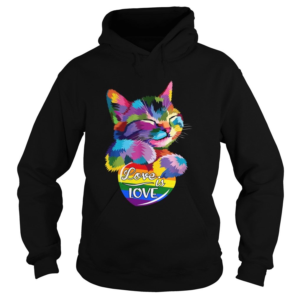 Cat LGBT Love Is Love Hoodie