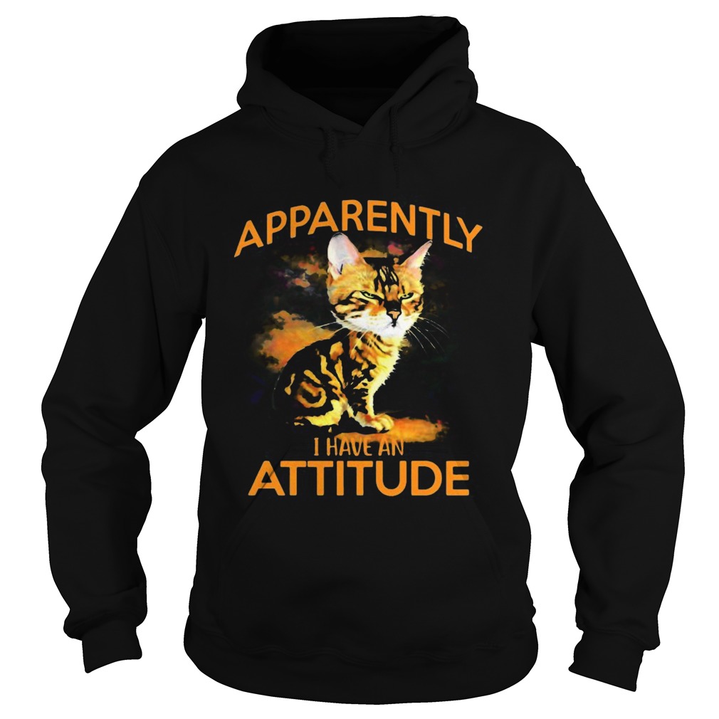 Cat apparently i have an attitude art Hoodie