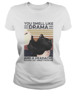 Cat you smell like drama and a headache please get away from me vintage retro  Classic Ladies