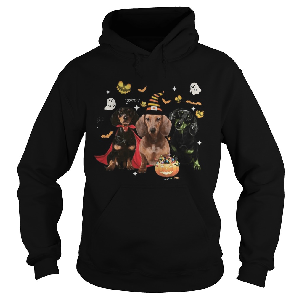 Dachshund Witch Halloween Hoodie