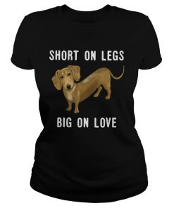 Dachshund short on legs big on love  Classic Ladies