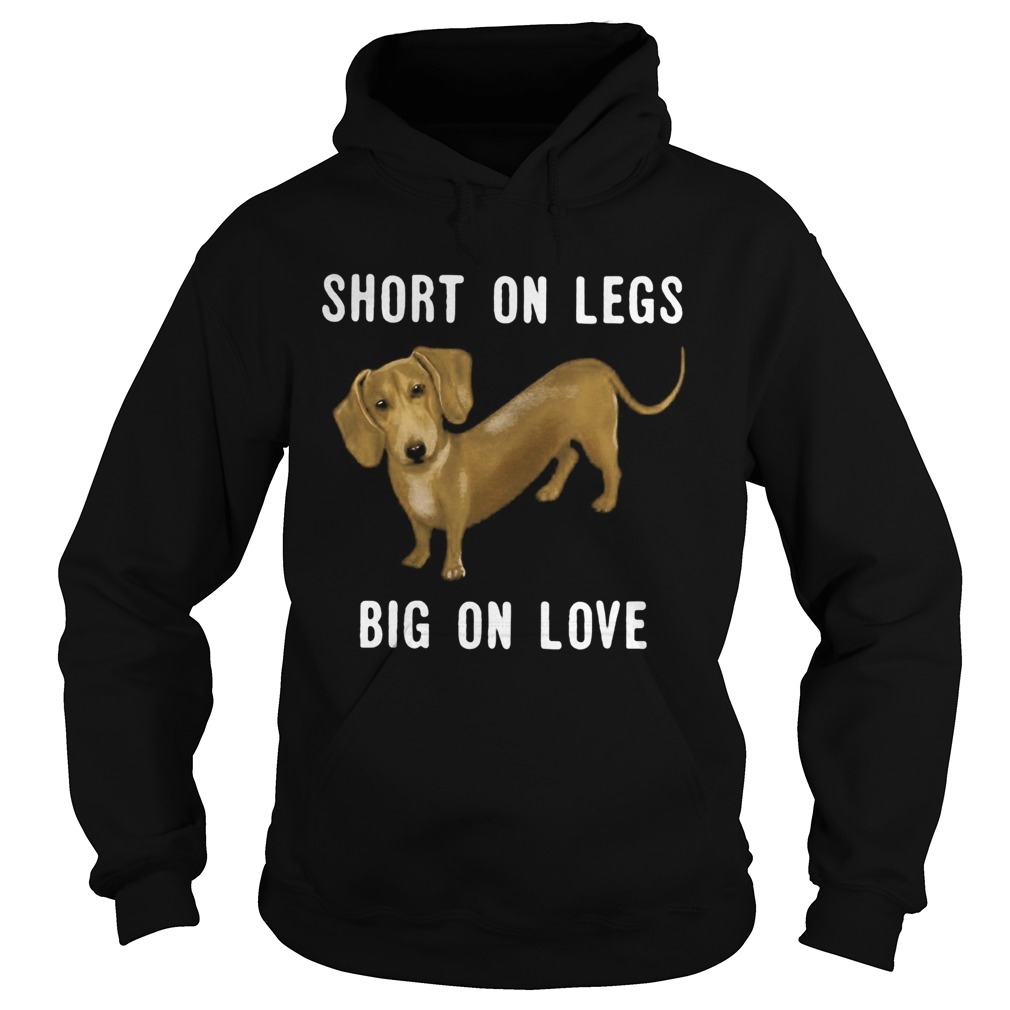 Dachshund short on legs big on love Hoodie