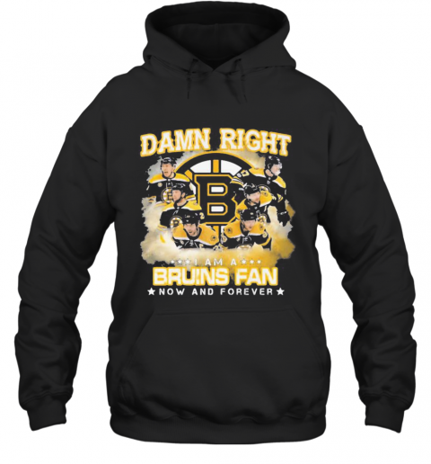 Damn Right I Am A Boston Bruins Fan Now And Forever Stars T-Shirt Unisex Hoodie