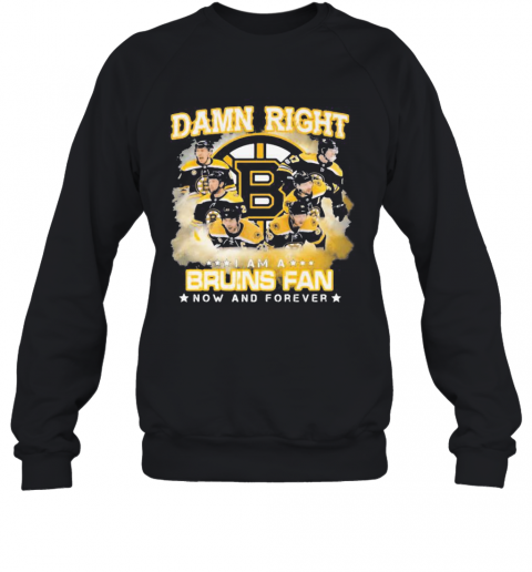 Damn Right I Am A Boston Bruins Fan Now And Forever Stars T-Shirt Unisex Sweatshirt
