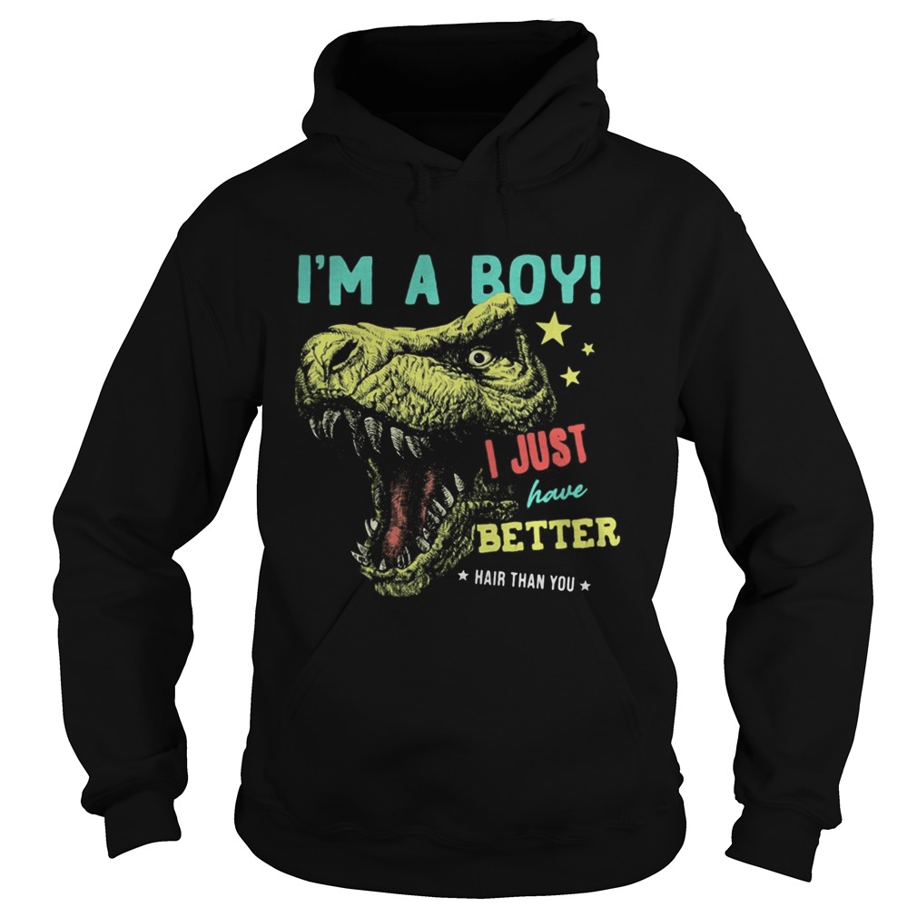 Dinosaur Im a boy i just have better hair than you stars Hoodie