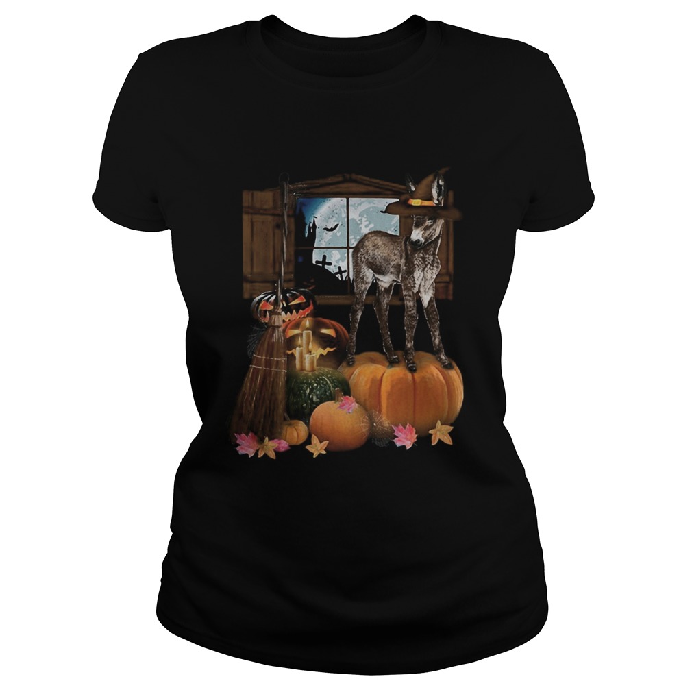 Doneky Witch Halloween Classic Ladies