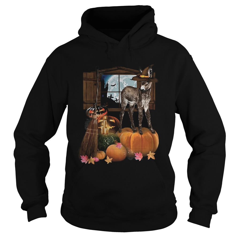Doneky Witch Halloween Hoodie
