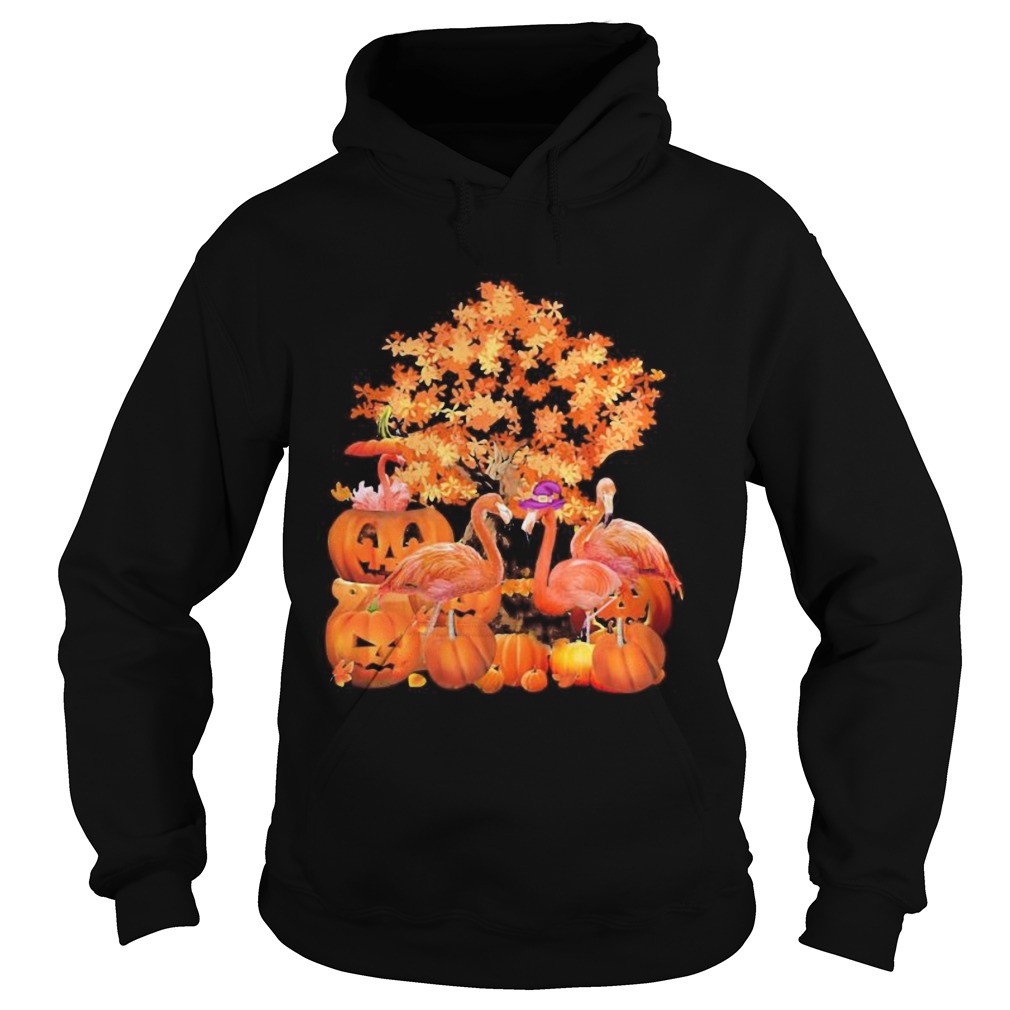 Fall Flamingo Halloween Hoodie