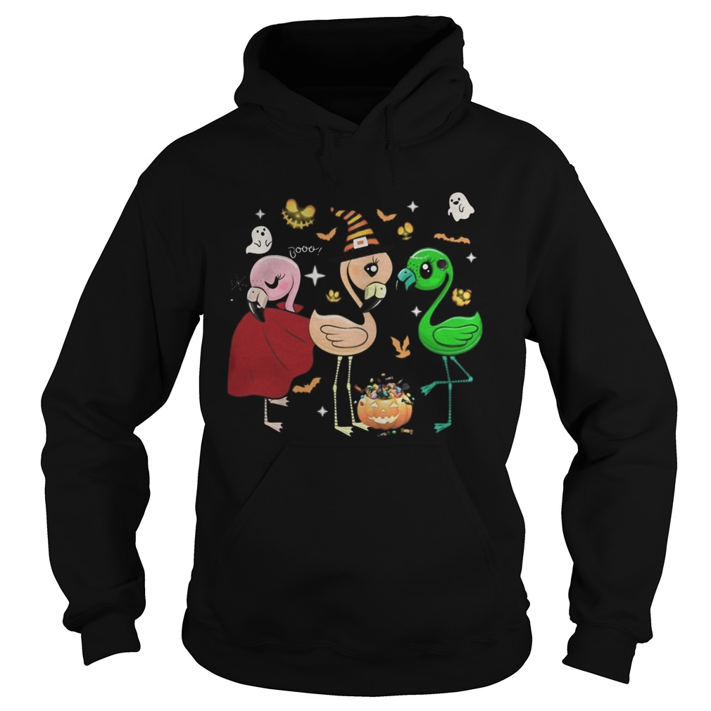 Flamingo Witch Halloween Hoodie