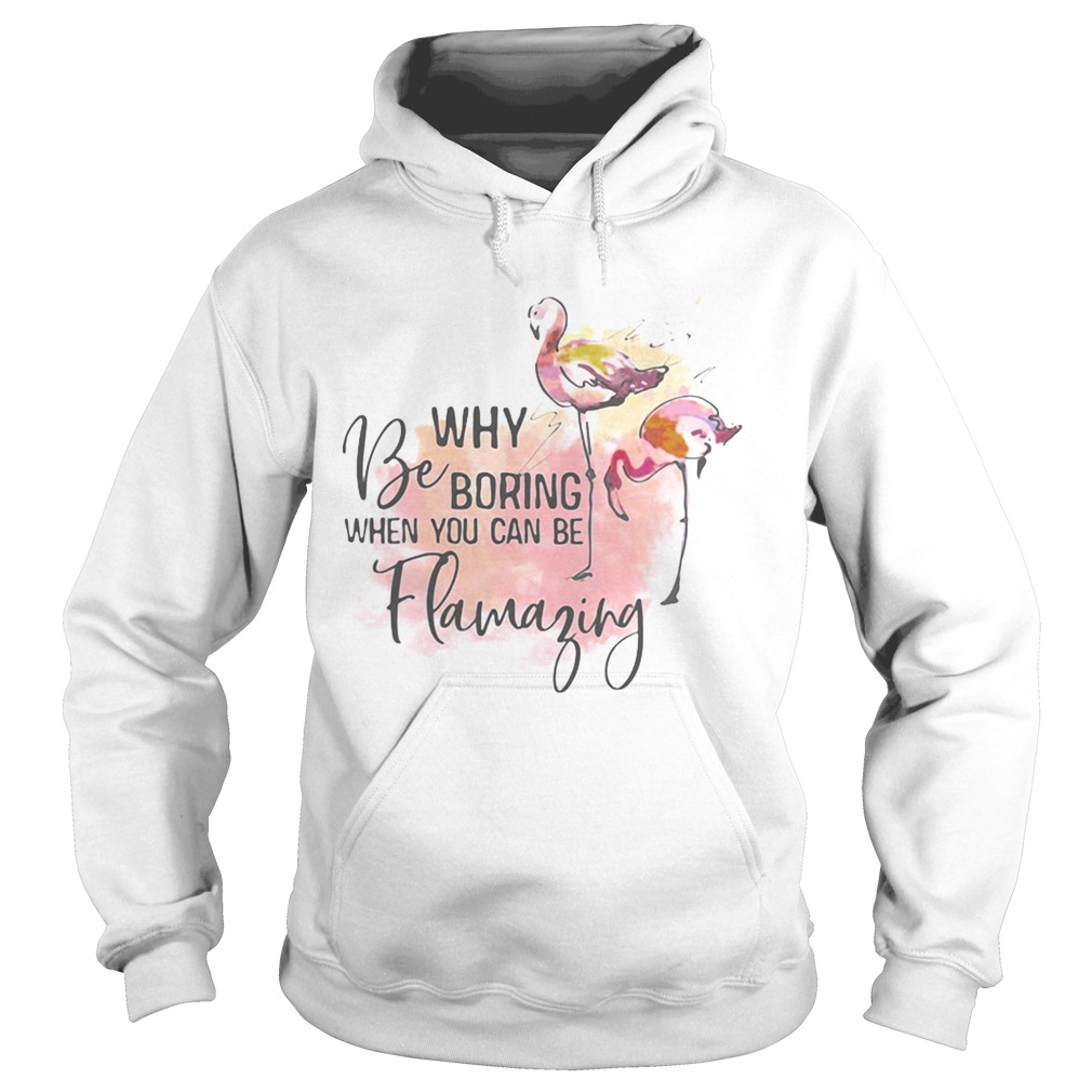 Flamingo why be boring when you can be llamazing Hoodie