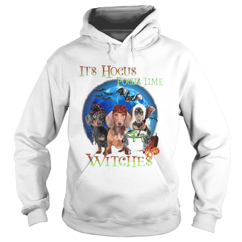 Halloween dachshund its hocus pocus time witches Hoodie