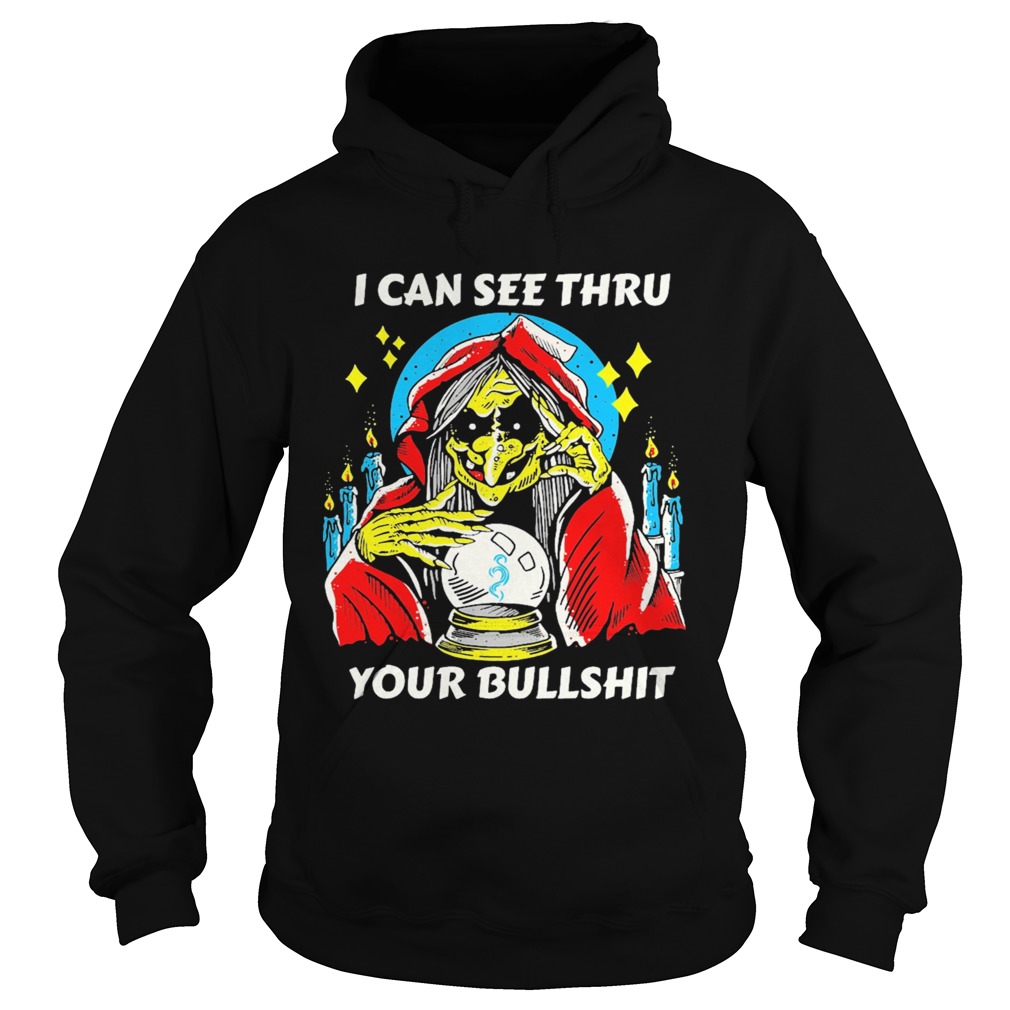 I can see thru your bullshit Hoodie