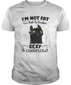Im Not Fat Im Just So Freakin Sexy It Overflows Toothless Dragon  Unisex