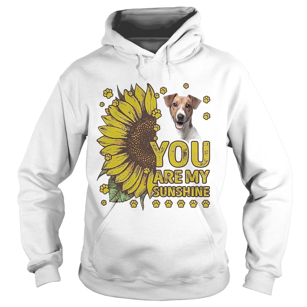 Jack Russell You are My sunshine Hoodie