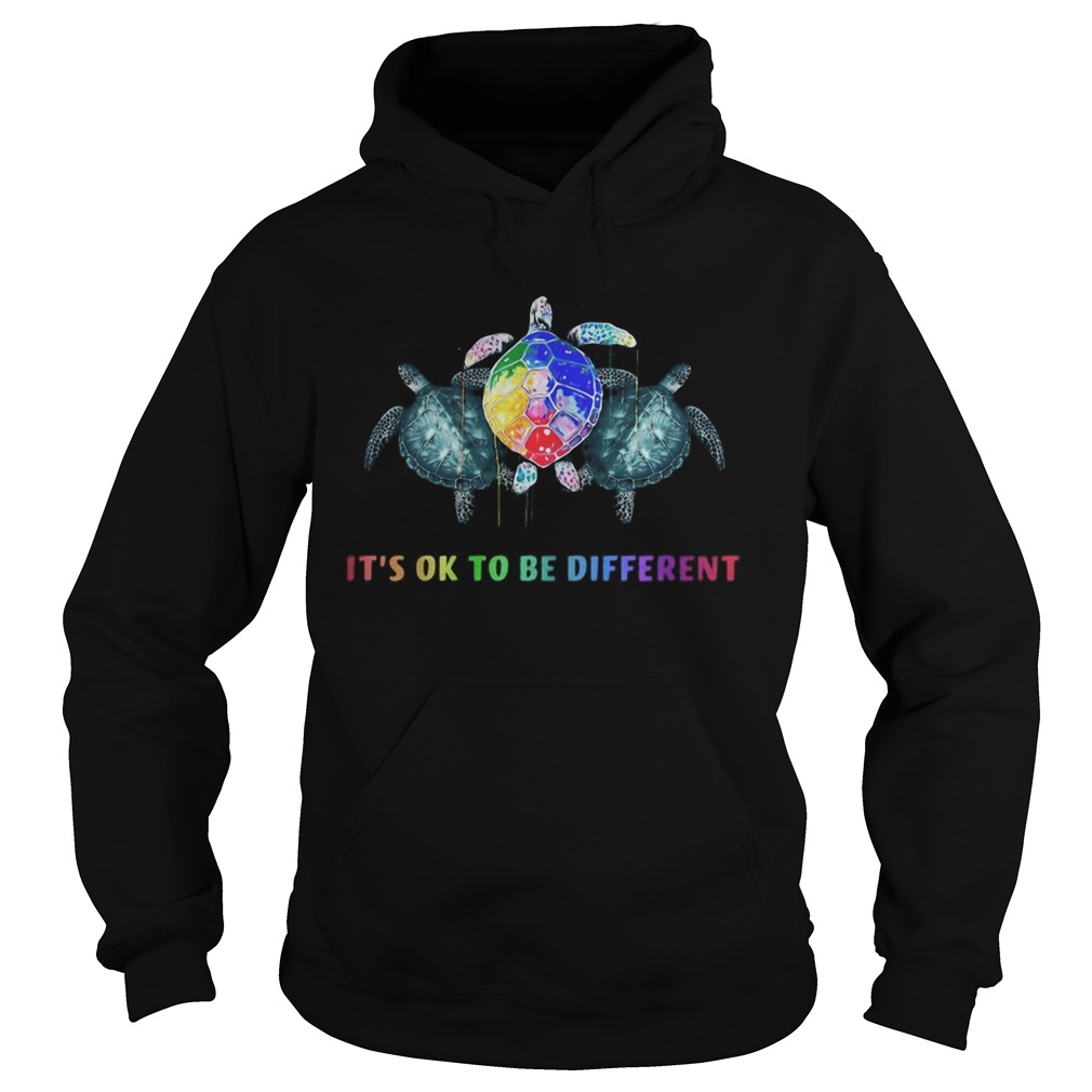LGBT Turtle Its ok to be different Hoodie