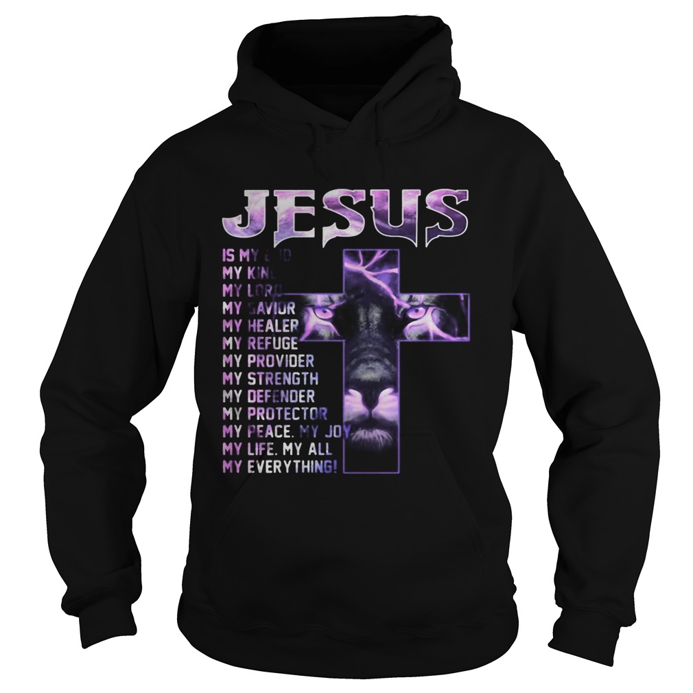 Lion ling jesus is my old my king lord savior healer refuge provider strength defender protector pe Hoodie