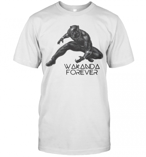 Marvel Heroes Black Panther Chadwick Rip Wakanda Forever T-Shirt