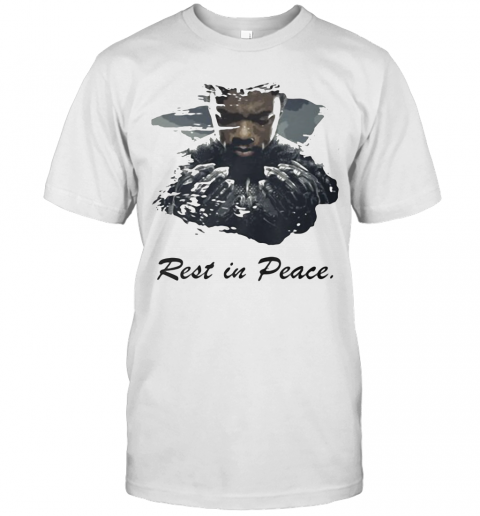 Marvel Heroes Black Panther Rip Chadwick Rest In Peace T-Shirt