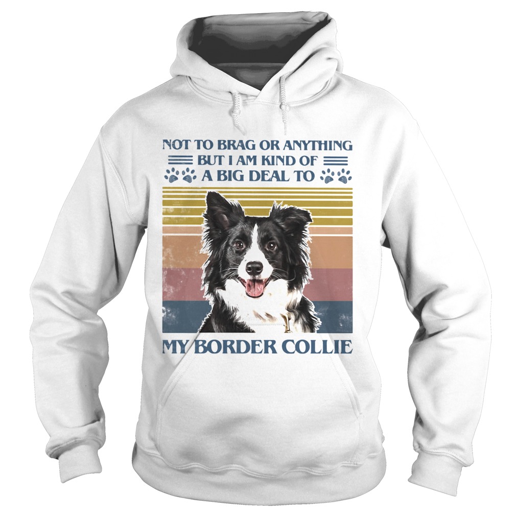 Not To Brag Or Anything But I Am Kind Of A Big Deal To My Border Collie Hoodie