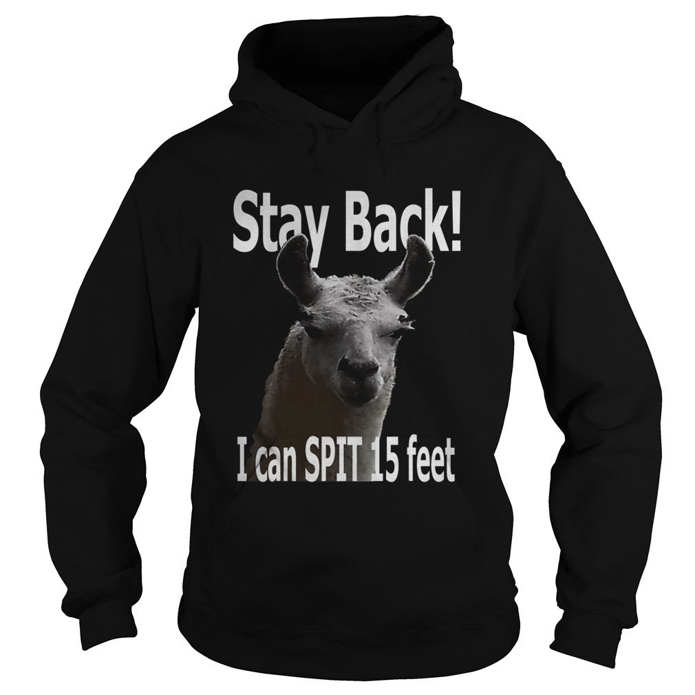 Stay Back 15 Feet Funny Cute Llama Hoodie