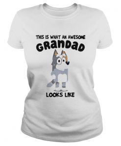 This Is What An Awesome Grandad Looks Like  Classic Ladies