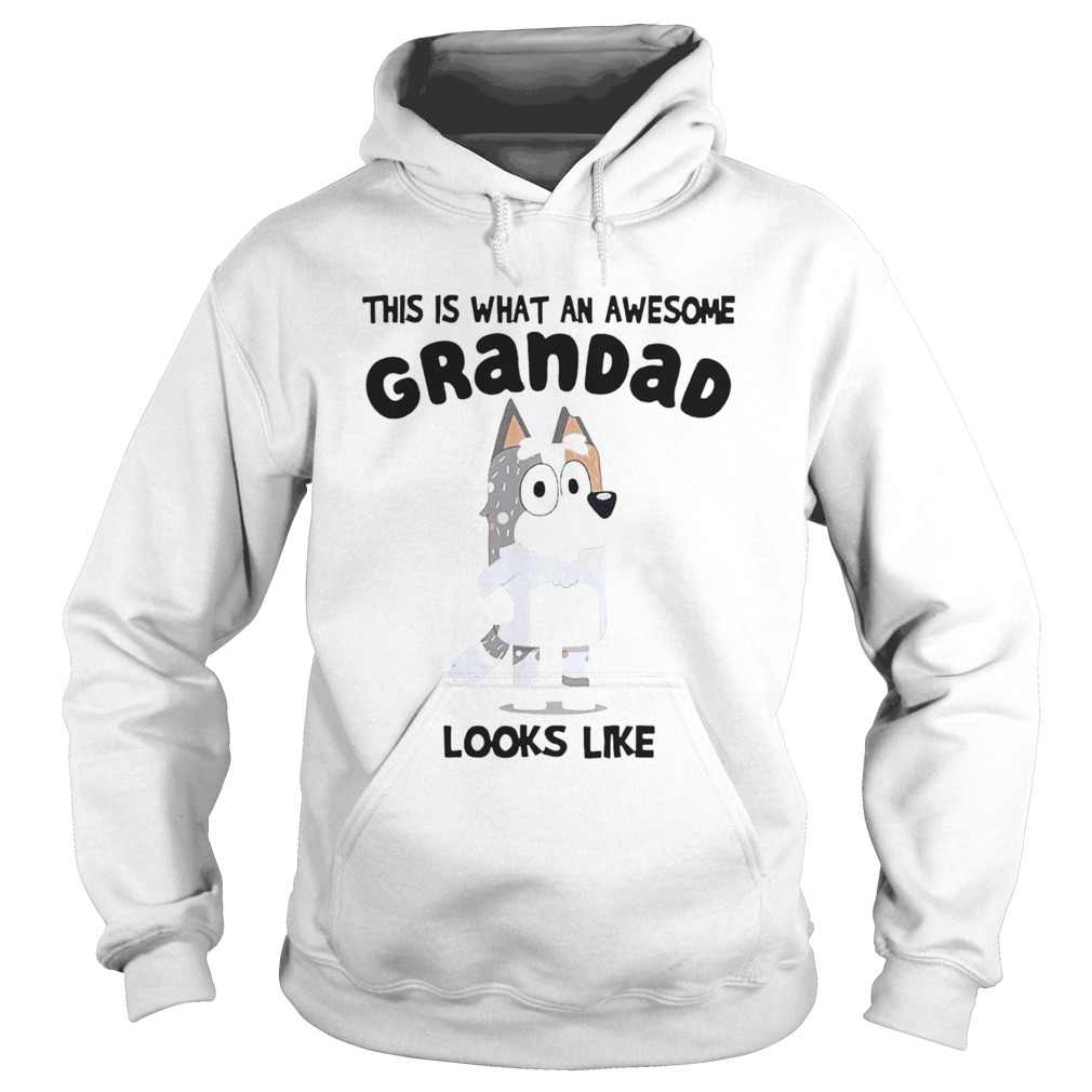 This Is What An Awesome Grandad Looks Like Hoodie