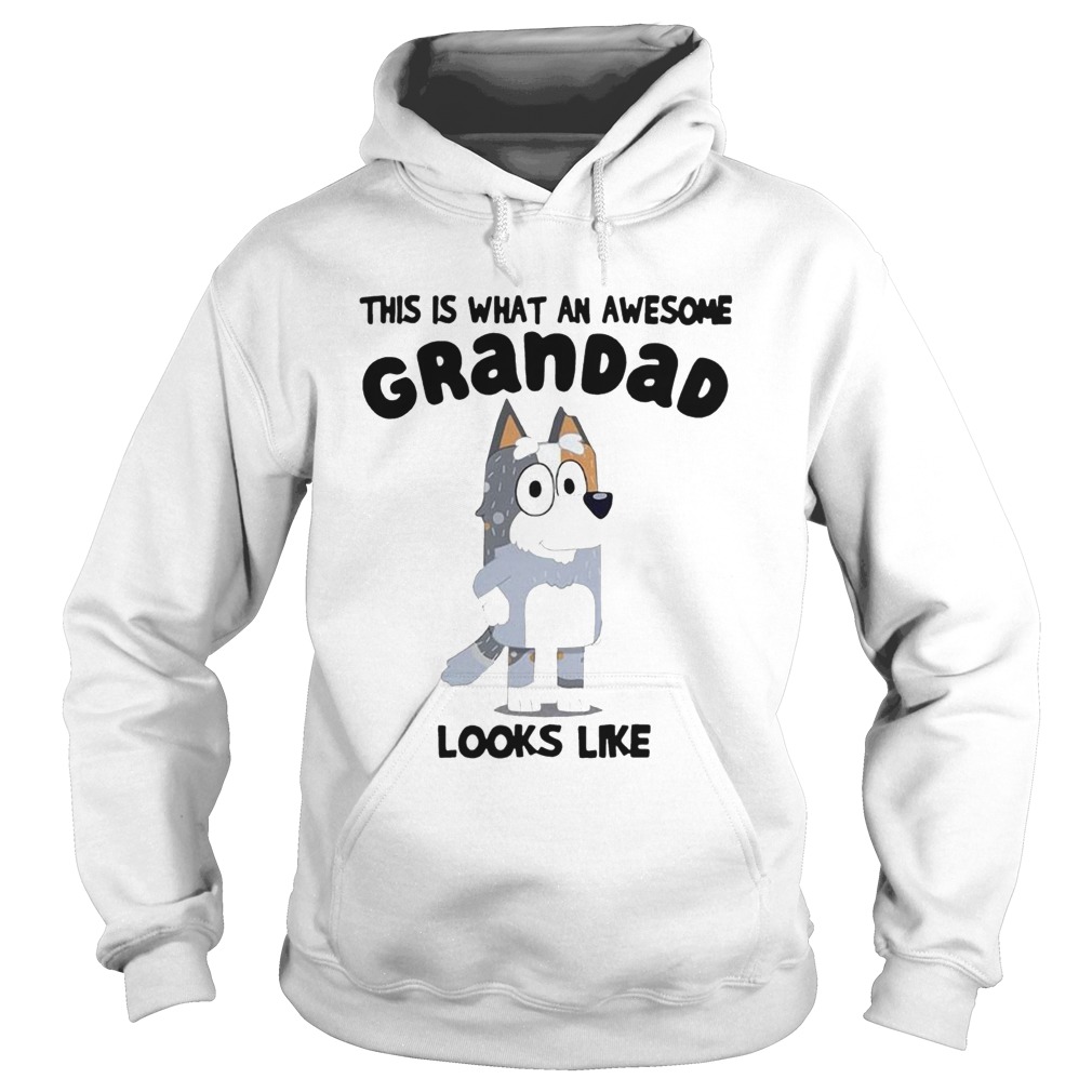 This Is What An Awesome Grandad Looks Like Hoodie