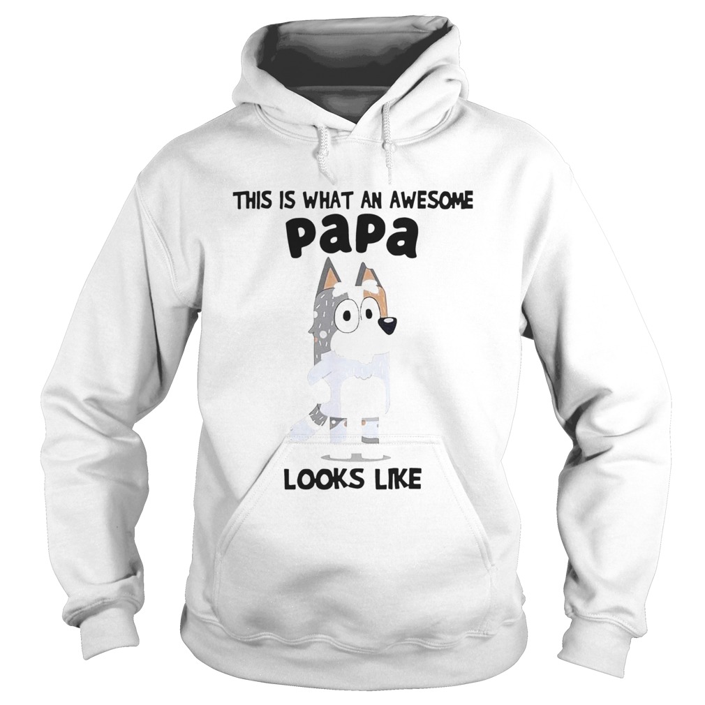 This Is What An Awesome Papa Bandit Heeler Looks Like Hoodie