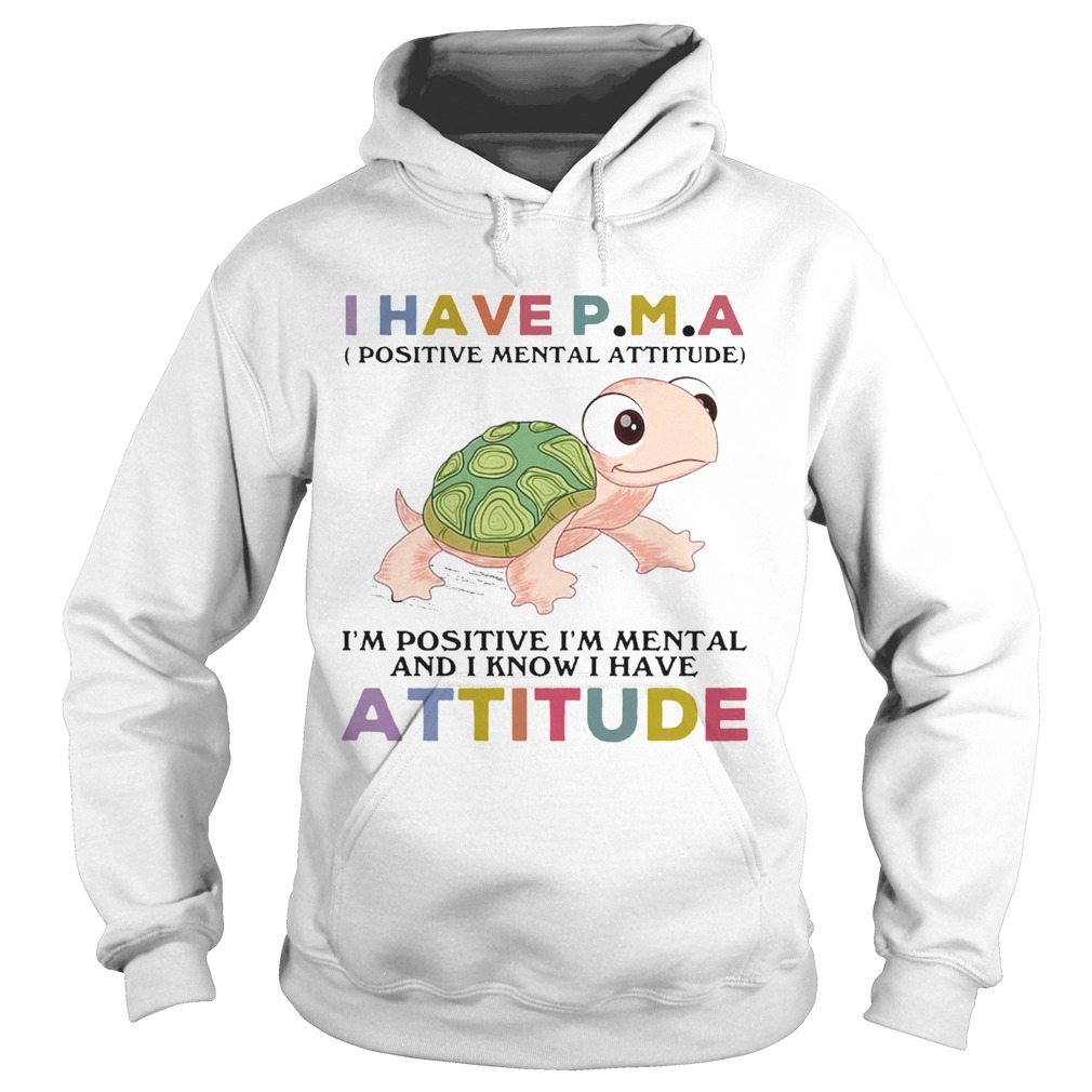 Turtle I Have PM A IM Positive IM Mentally And I Know I Have Attitude Hoodie
